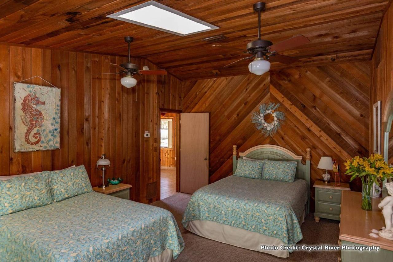 Riverfront Treetop Bungalow Хомосасса Экстерьер фото